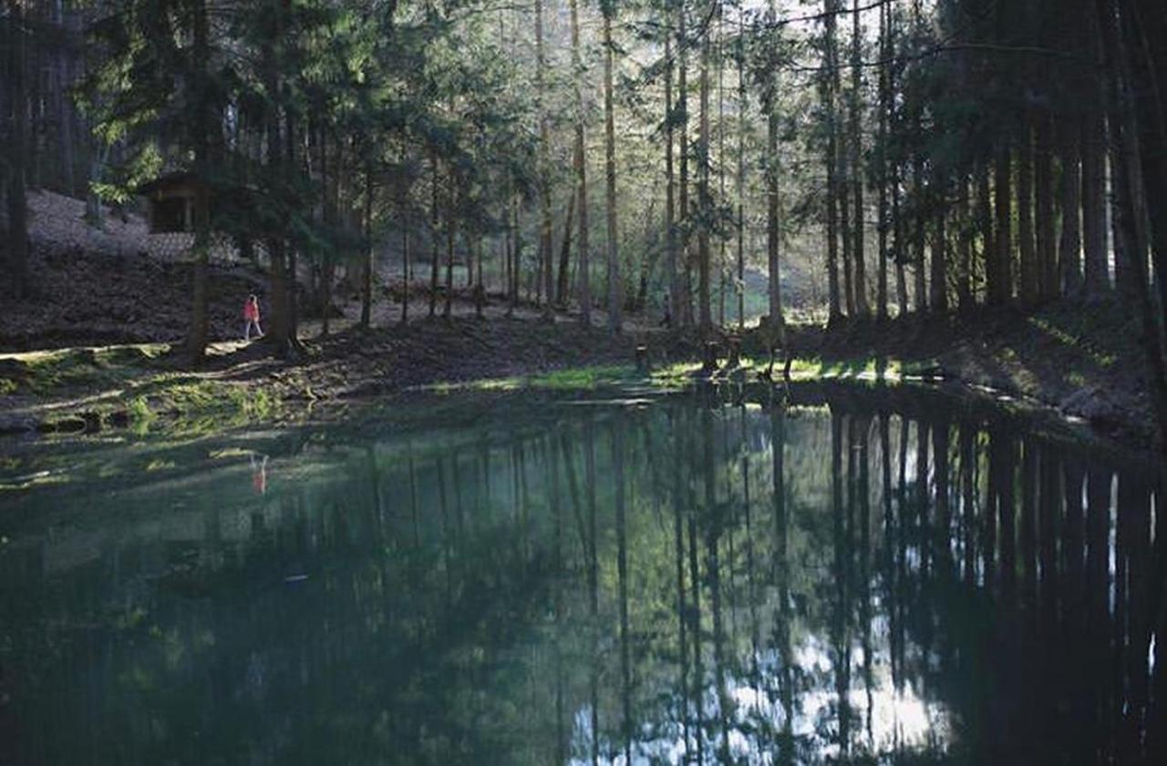 Ferienhaus "Baeren Ecke" Am See Im Bergland Kirchheim  Eksteriør billede